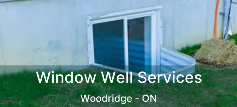 Window Well Services Woodridge - ON