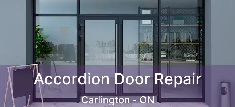 Accordion Door Repair Carlington - ON