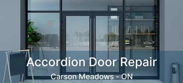  Accordion Door Repair Carson Meadows - ON