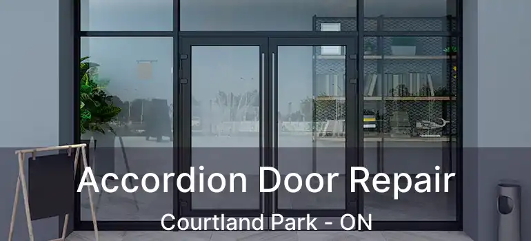 Accordion Door Repair Courtland Park - ON