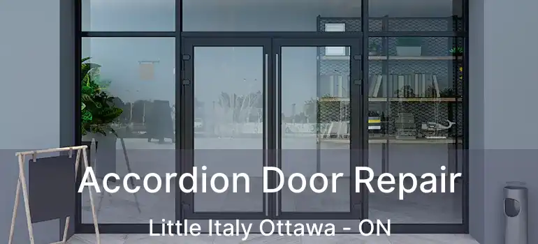 Accordion Door Repair Little Italy Ottawa - ON