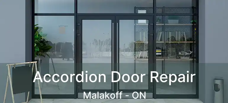 Accordion Door Repair Malakoff - ON
