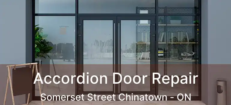 Accordion Door Repair Somerset Street Chinatown - ON