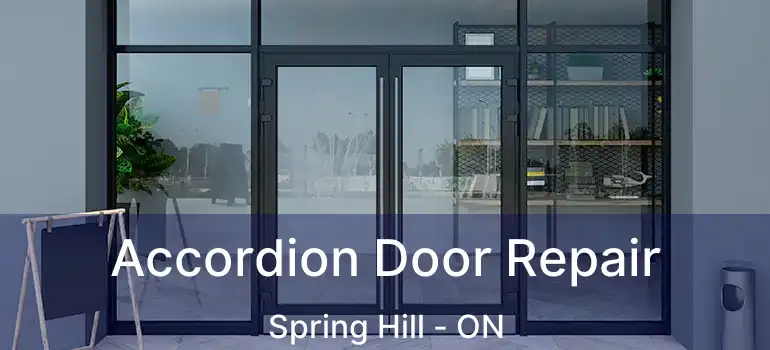 Accordion Door Repair Spring Hill - ON