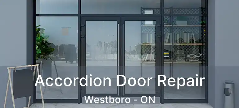  Accordion Door Repair Westboro - ON