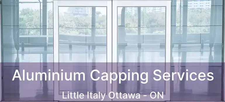  Aluminium Capping Services Little Italy Ottawa - ON