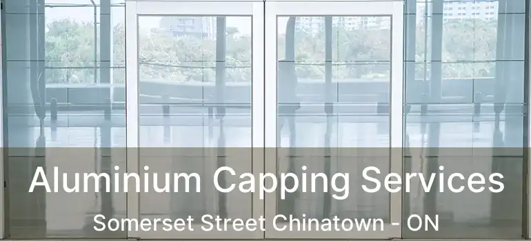  Aluminium Capping Services Somerset Street Chinatown - ON