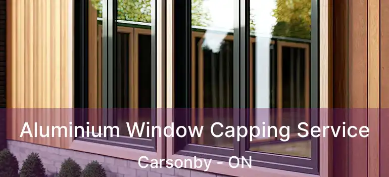  Aluminium Window Capping Service Carsonby - ON