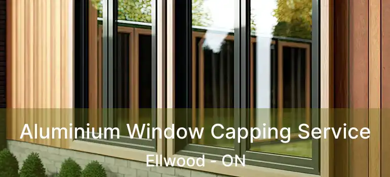  Aluminium Window Capping Service Ellwood - ON