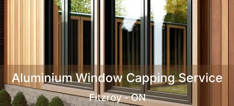  Aluminium Window Capping Service Fitzroy - ON