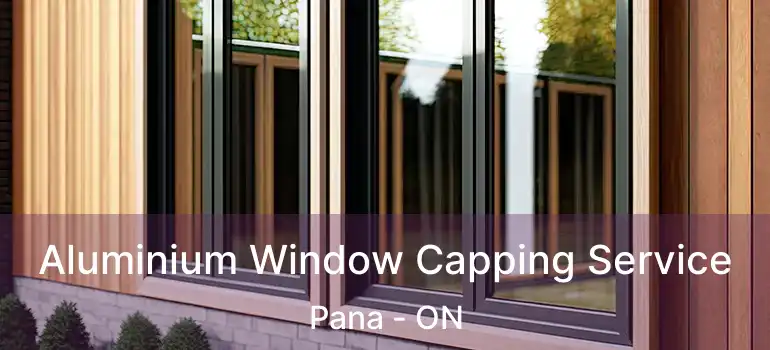  Aluminium Window Capping Service Pana - ON