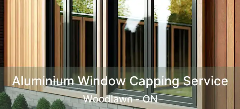  Aluminium Window Capping Service Woodlawn - ON
