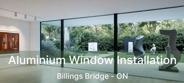 Aluminium Window Installation Billings Bridge - ON