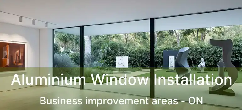  Aluminium Window Installation Business improvement areas - ON