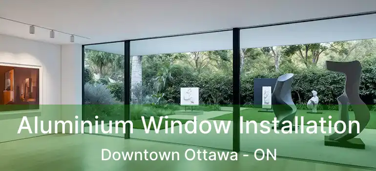 Aluminium Window Installation Downtown Ottawa - ON