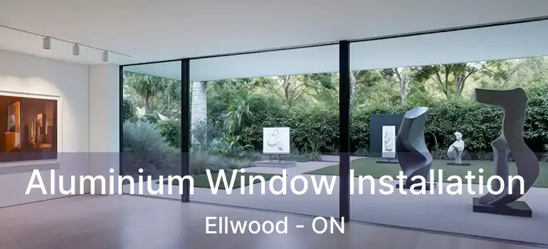 Aluminium Window Installation Ellwood - ON