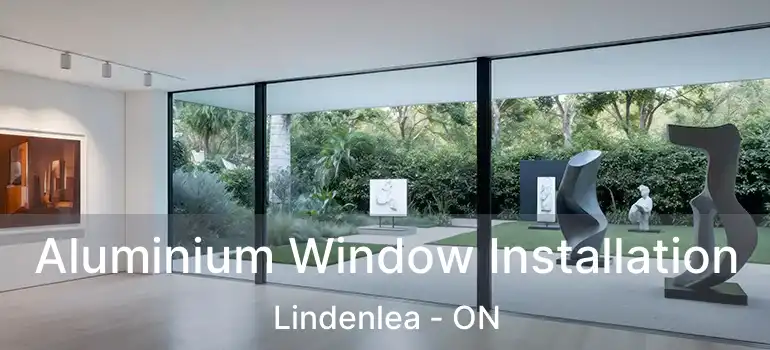  Aluminium Window Installation Lindenlea - ON
