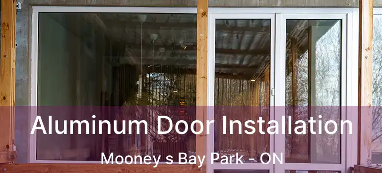  Aluminum Door Installation Mooney s Bay Park - ON