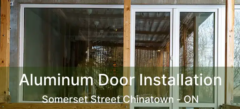 Aluminum Door Installation Somerset Street Chinatown - ON