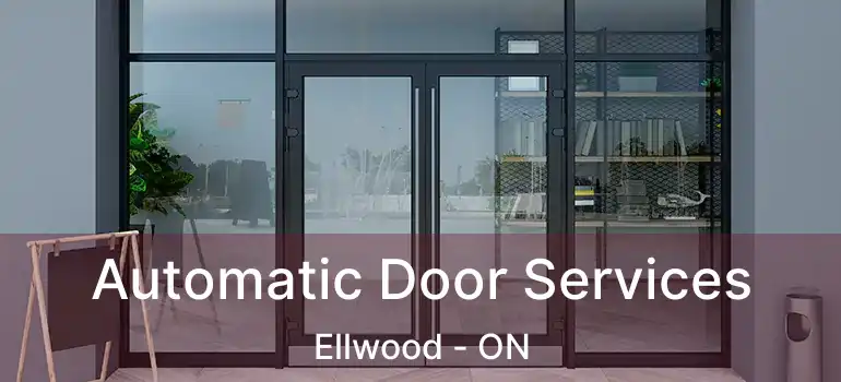Automatic Door Services Ellwood - ON