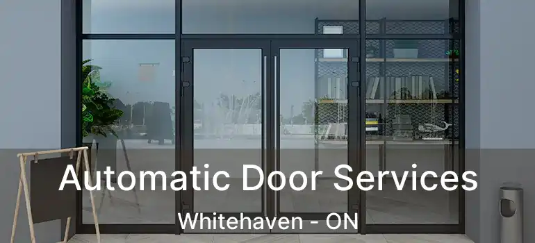 Automatic Door Services Whitehaven - ON