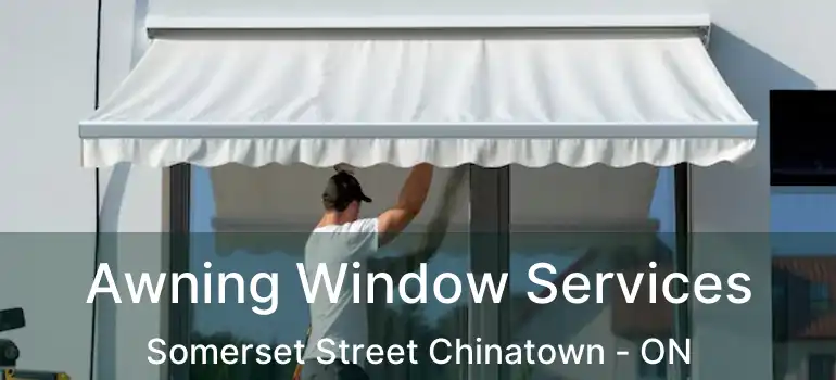 Awning Window Services Somerset Street Chinatown - ON