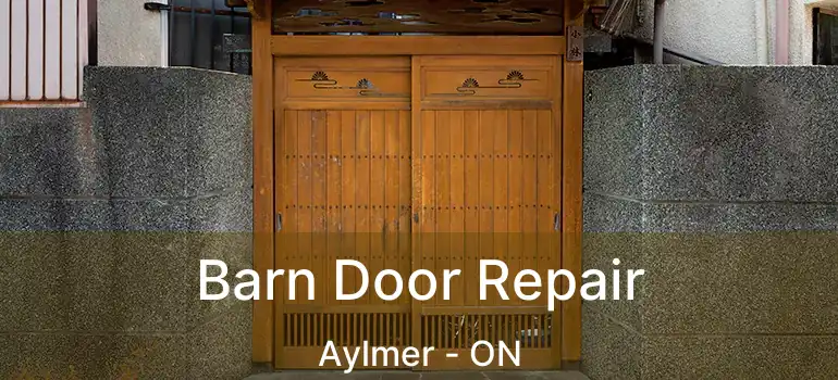 Barn Door Repair Aylmer - ON
