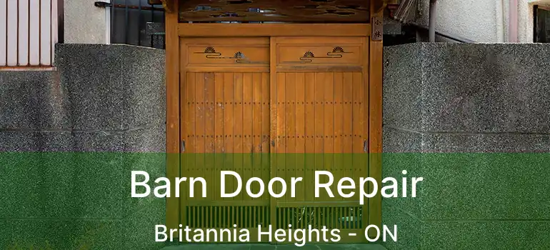  Barn Door Repair Britannia Heights - ON