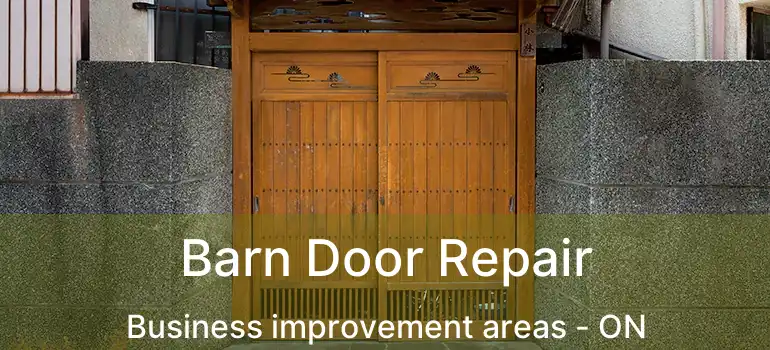  Barn Door Repair Business improvement areas - ON