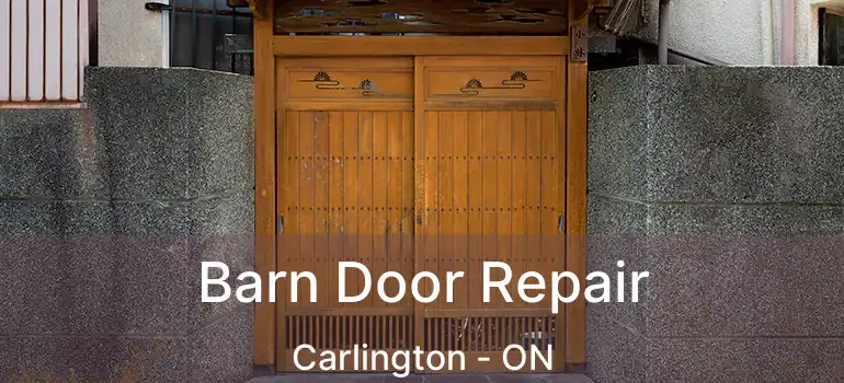 Barn Door Repair Carlington - ON