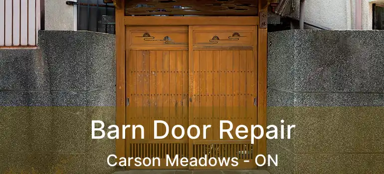 Barn Door Repair Carson Meadows - ON