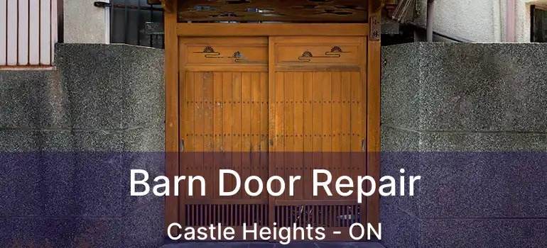 Barn Door Repair Castle Heights - ON