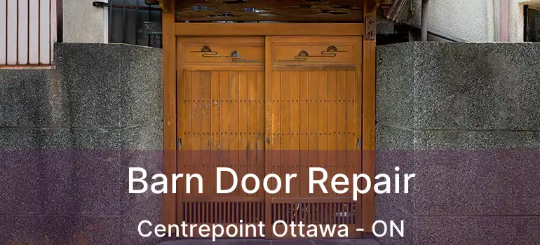 Barn Door Repair Centrepoint Ottawa - ON