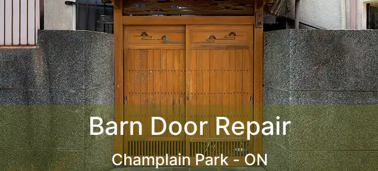 Barn Door Repair Champlain Park - ON
