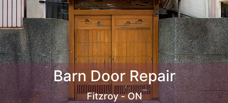 Barn Door Repair Fitzroy - ON