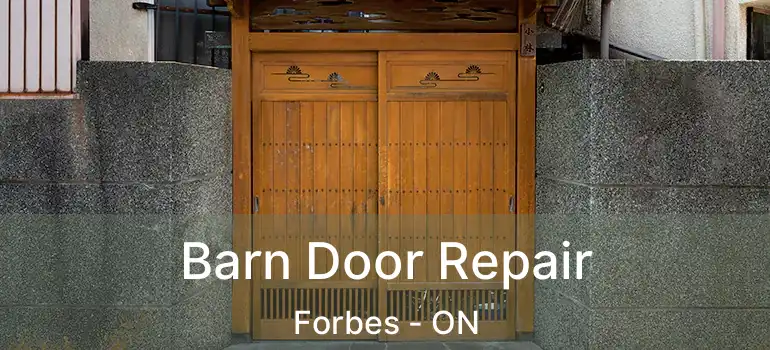  Barn Door Repair Forbes - ON