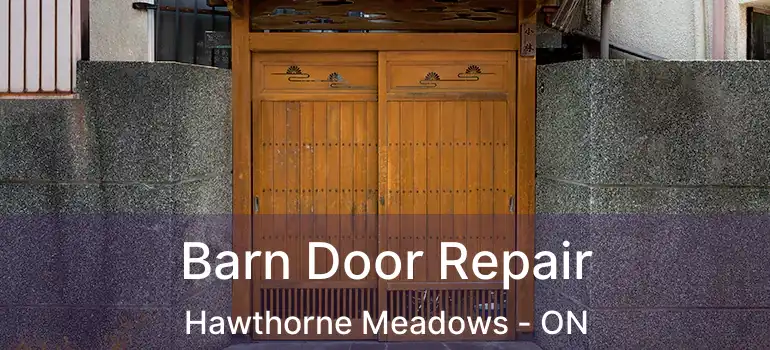 Barn Door Repair Hawthorne Meadows - ON