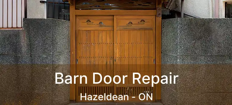Barn Door Repair Hazeldean - ON
