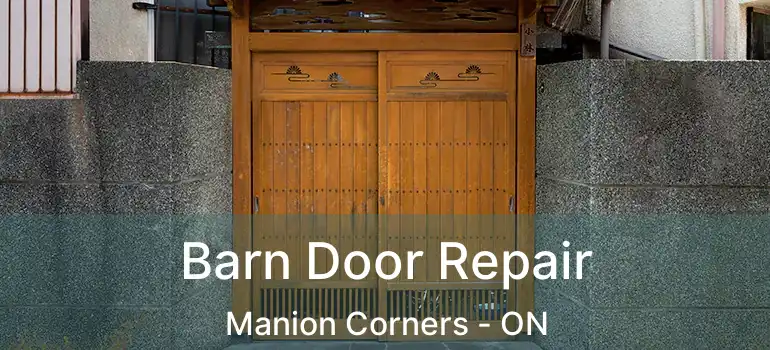 Barn Door Repair Manion Corners - ON