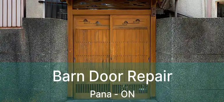 Barn Door Repair Pana - ON