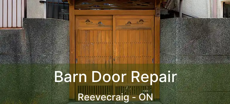 Barn Door Repair Reevecraig - ON