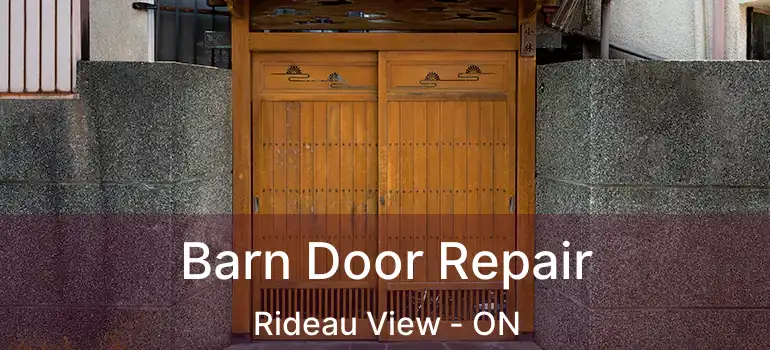 Barn Door Repair Rideau View - ON