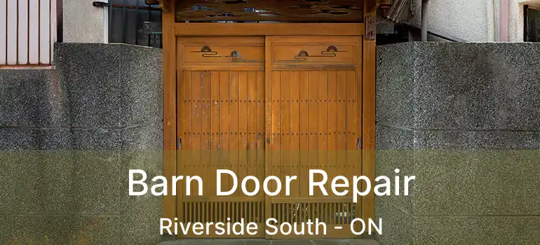 Barn Door Repair Riverside South - ON