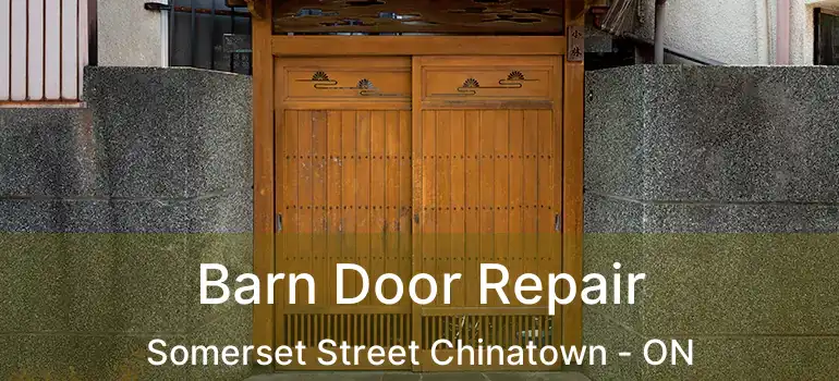  Barn Door Repair Somerset Street Chinatown - ON