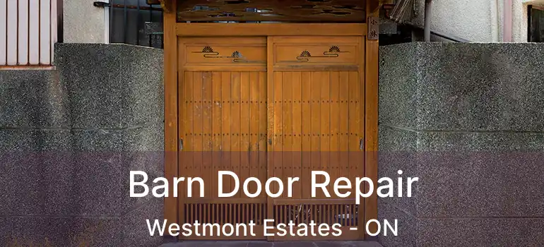 Barn Door Repair Westmont Estates - ON