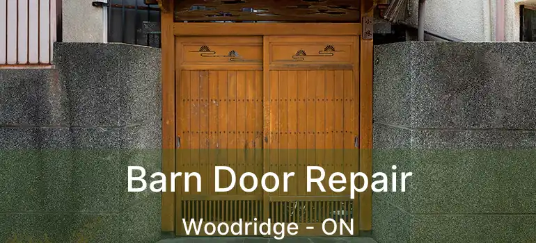 Barn Door Repair Woodridge - ON