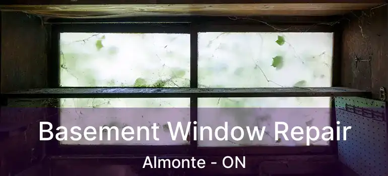 Basement Window Repair Almonte - ON