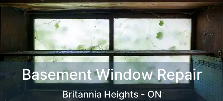  Basement Window Repair Britannia Heights - ON