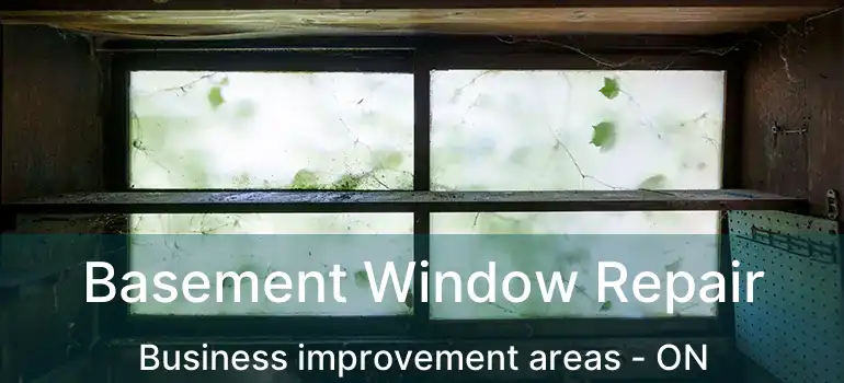 Basement Window Repair Business improvement areas - ON