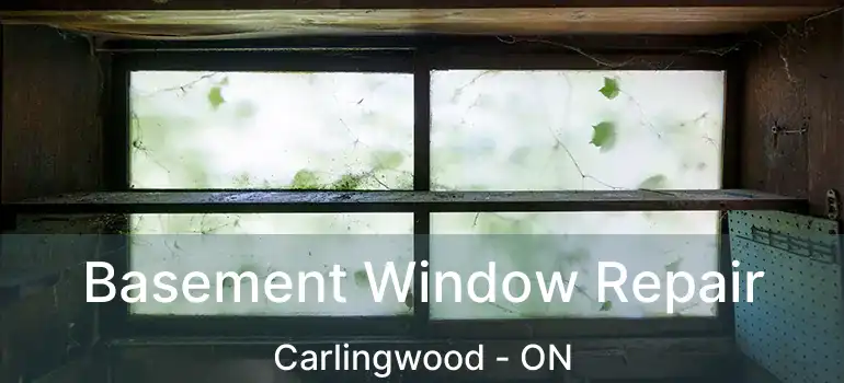 Basement Window Repair Carlingwood - ON
